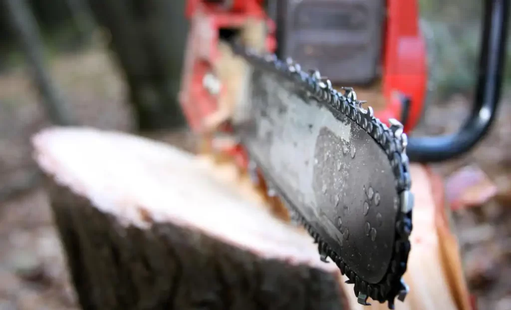 Close up of Chainsaw on a stump