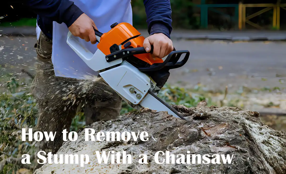 How to Remove a Stump With a Chainsaw