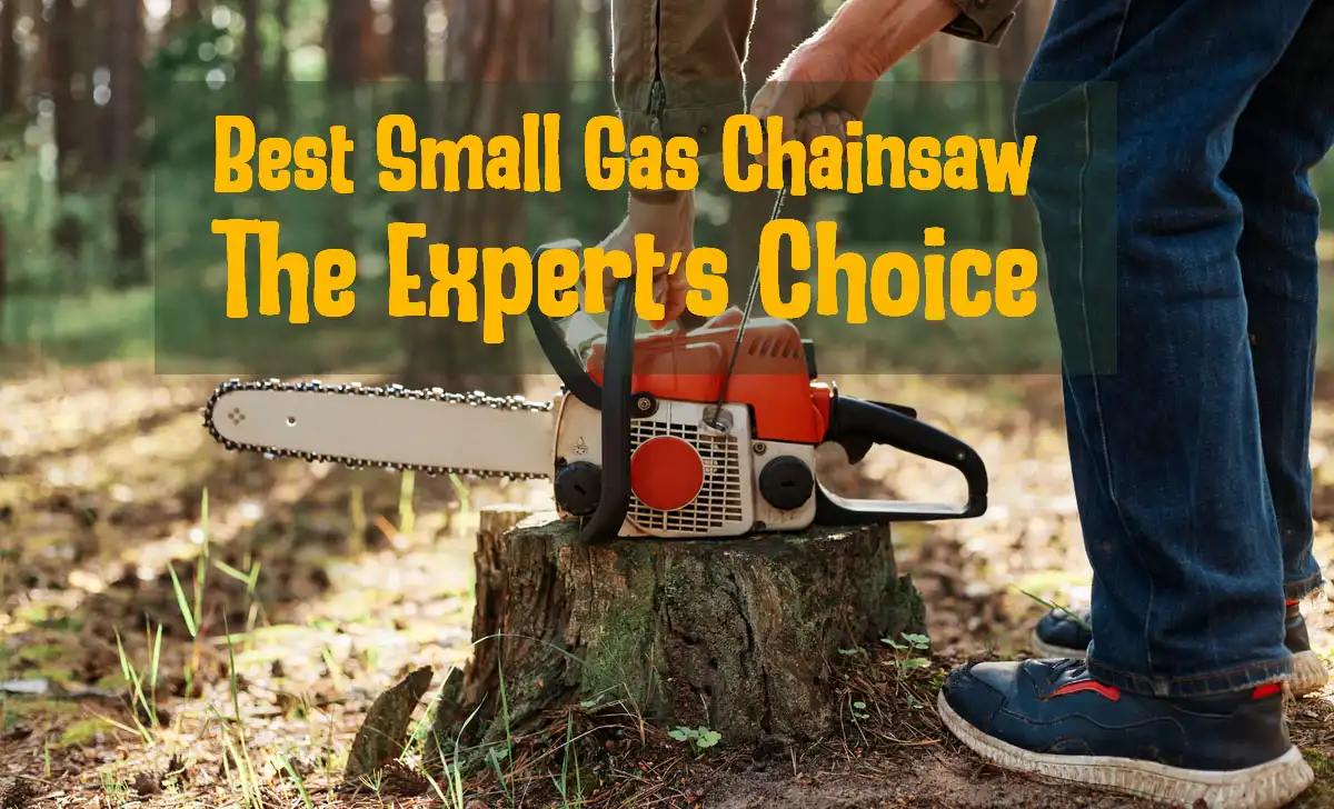 Best Small Gas Chainsaw: Compact, but Crazy Picks