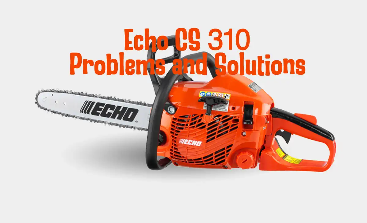Echo CS 310 Problems and Solutions